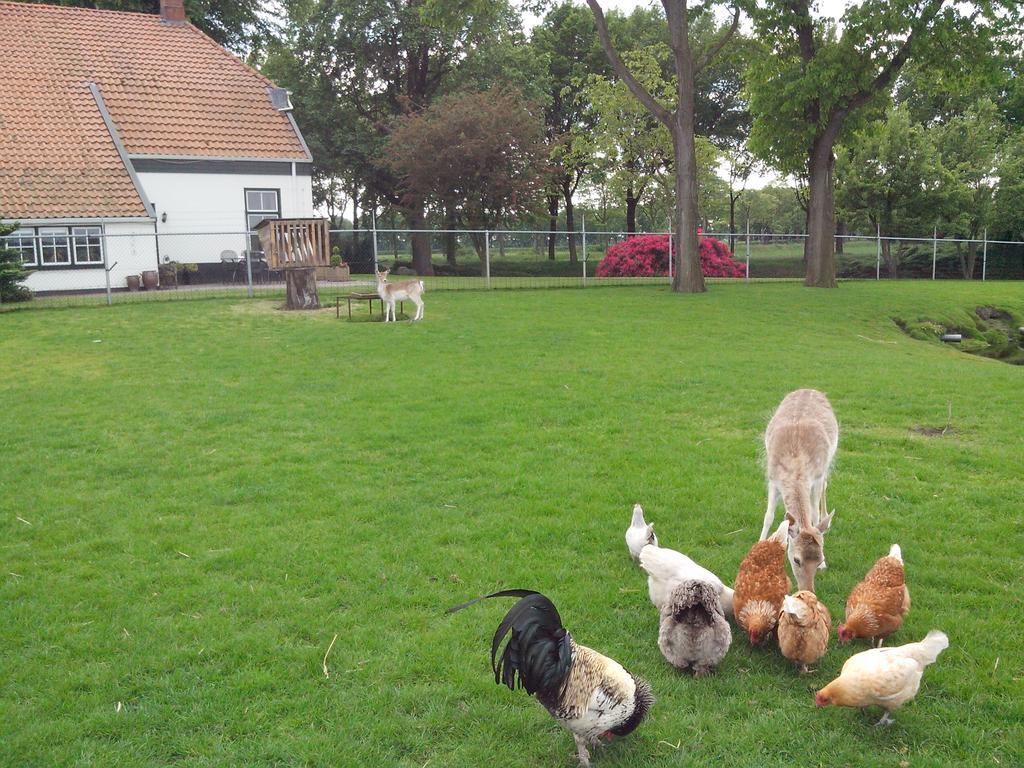 Bed En Breakfast Westerwolde Apartment Sellingen Bagian luar foto